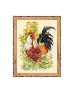 Набор для вышивания Петух / 1479 Риолис