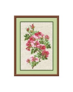 Набор для вышивания Шиповник / 809 Риолис