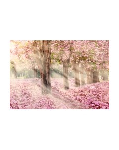 Фотообои листовые Citydecor Сказочная природа 5