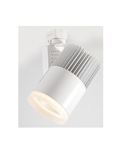 Трековый светильник Elektrostandard Accord 30W 4200K LTB20