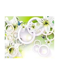 Фотообои листовые Citydecor Круги 3D