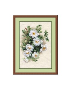 Набор для вышивания Белый шиповник / 1351 Риолис