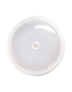 Светильник ЖКХ INhome СПБ-2Д-Круг / 4690612020716 Inhome