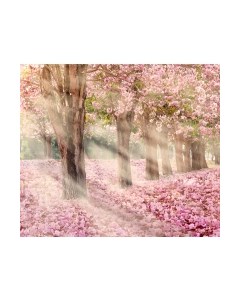 Фотообои листовые Citydecor Сказочная природа 5