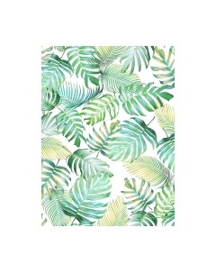 Фотообои листовые Vimala Монстера патерн