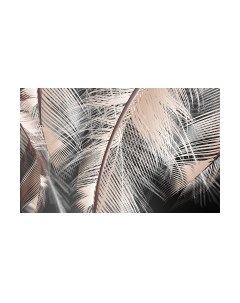 Фотообои листовые Vimala Перо макро