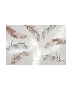 Фотообои листовые Vimala Перья на бетоне