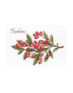 Набор для вышивания Дары природы. Барбарис / НВ-619М М.п.студия