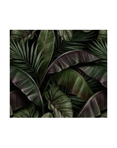 Фотообои листовые Vimala Густые листья 3