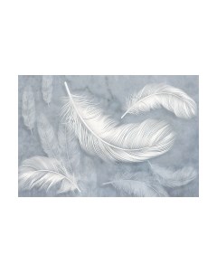 Фотообои листовые Vimala Белые перья