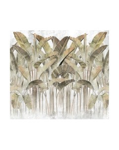 Фотообои листовые Vimala Кавендиш 2