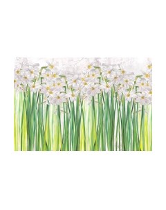 Фотообои листовые Vimala Полевые цветы 1