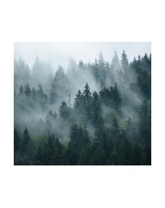 Фотообои листовые Vimala Зеленый лес 6