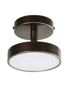 Потолочный светильник FAVOURITE 3060-1P Favourite