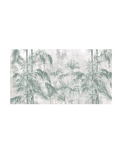 Фотообои листовые Vimala Зеленые джунгли