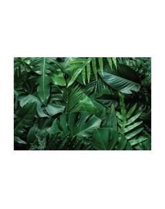 Фотообои листовые Vimala Объемные листья 2