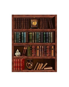 Фотообои листовые Citydecor Библиотека