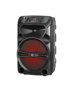 Портативная акустика G110 / 65110 Defender