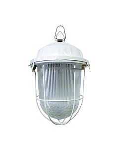 Светильник для подсобных помещений TDM НСП 02-100-002.01 У2 Tdm