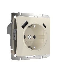 Розетка Werkel W1171703