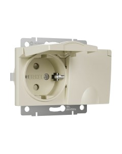 Розетка Werkel W1172203