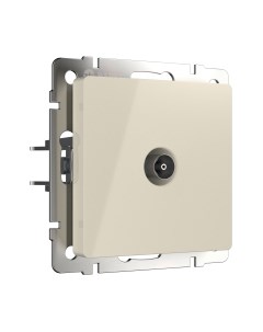 Розетка Werkel W1184003