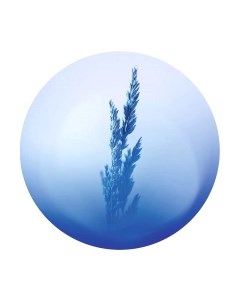 Картина на стекле Холодная ветка 2 SP026 Stamprint