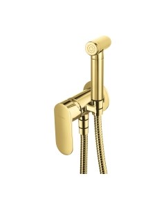 Гигиенический душ со смесителем Deante Alpinia BGA Z34M