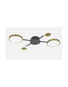 Потолочный светильник Mirastyle SX-20540-48 BK+SGD