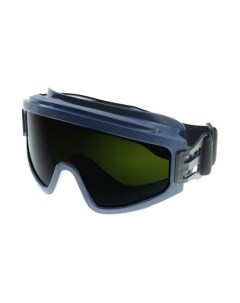 Защитные очки РОСОМЗ ЗН11 Panorama StrongGlass 6 РС / 24135 Росомз