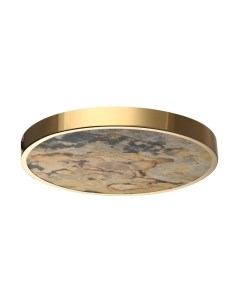 Потолочный светильник Odeon Light Bergi 5079/40L Odeon light