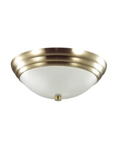 Потолочный светильник Lumion Kayla 5262/2C