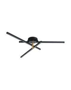 Потолочный светильник Lumion Parker 6547/56CL