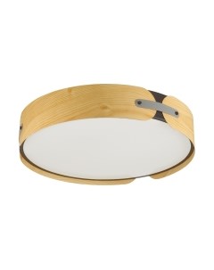 Потолочный светильник Sonex Coraggio 7721/100L