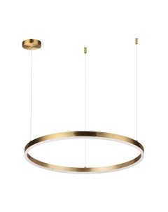 Потолочный светильник Lumion Echo 6531/50L