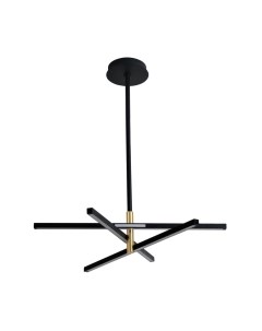 Потолочный светильник Lumion Parker 6547/56L