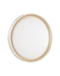 Потолочный светильник Sonex Shiny 3054/DL