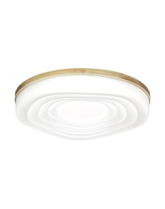 Потолочный светильник Sonex Pale 7674/DL