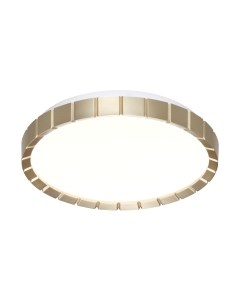 Потолочный светильник Sonex Pale 7648/CL