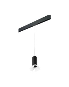 Трековый светильник Lightstar Rullo PRORP487436