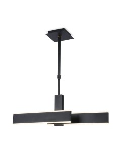 Потолочный светильник Ambrella Acrylica FA6667 BK