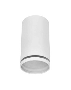 Точечный светильник INhome НПБ Цилиндр-GU10-NL-WH / 4690612046518 Inhome