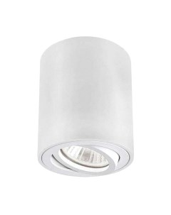 Точечный светильник INhome НПБ Цилиндр-GU10-RT-WH / 4690612053639 Inhome