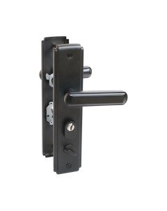 Ручка дверная Аллюр Стандарт РН-СТ261 Y BL