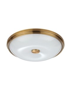 Потолочный светильник Odeon Light Pellow 4956/4 Odeon light