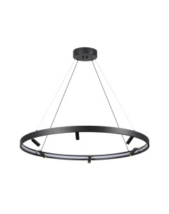 Потолочный светильник Odeon Light Fonda 4317/93L Odeon light