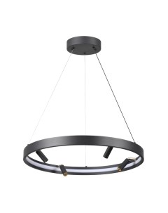 Потолочный светильник Odeon Light Fonda 4317/58L Odeon light