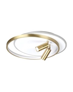 Потолочный светильник Lumion Naoko 5603/63CL