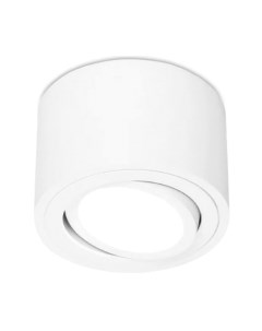 Точечный светильник Ambrella TN222 WH/S