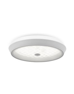 Потолочный светильник Freya FR10012CL-L24W